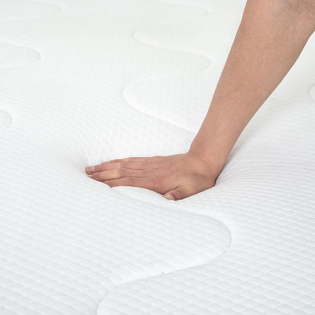 Catmint Mattress - Rebatta Home Store