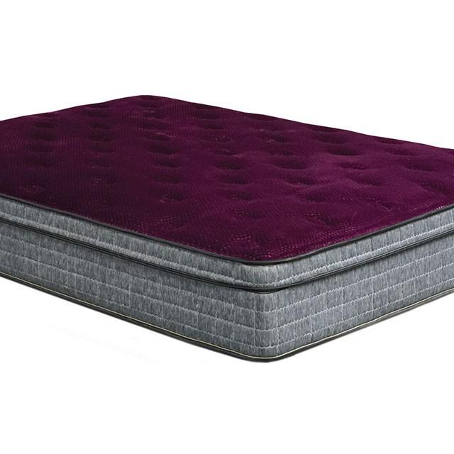 Purple/Grey 13" Euro Pillow Top Mattress Non-Flip, Full - Rebatta Home Store