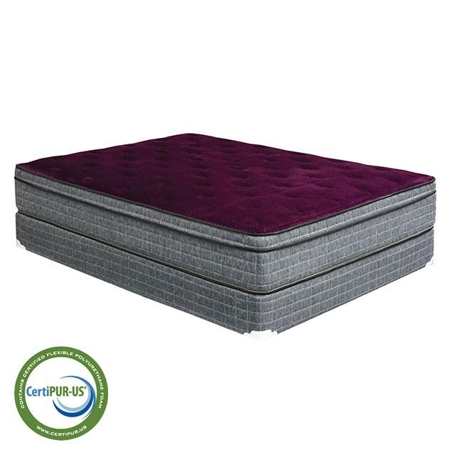 Purple/Grey 13" Euro Pillow Top Mattress Non-Flip, Full - Rebatta Home Store